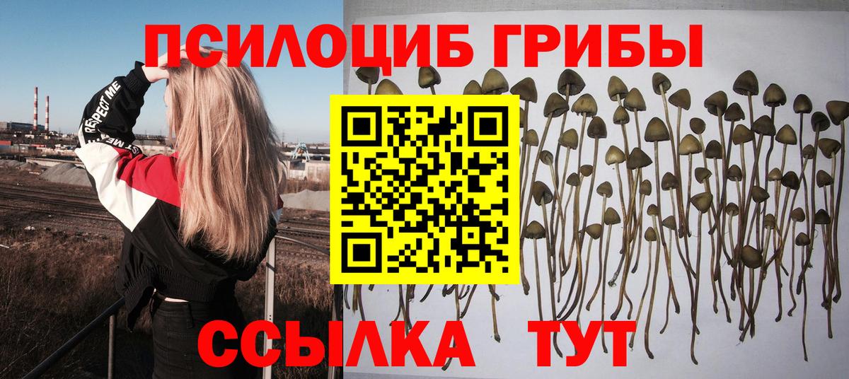 Галлюциногенные грибы Magic Shrooms Пугачёв