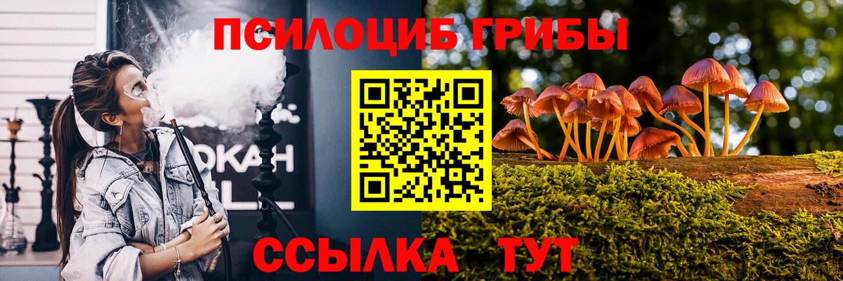 Пугачёв  что такое наркотик  Вход с VPN  Псилоцибиновые грибы ЛСД  Галлюциногенные грибы MAGIC MUSHROOMS 