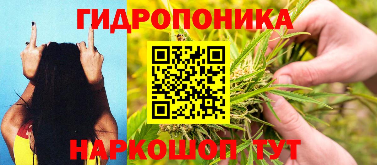 Марихуана конопля Пугачёв